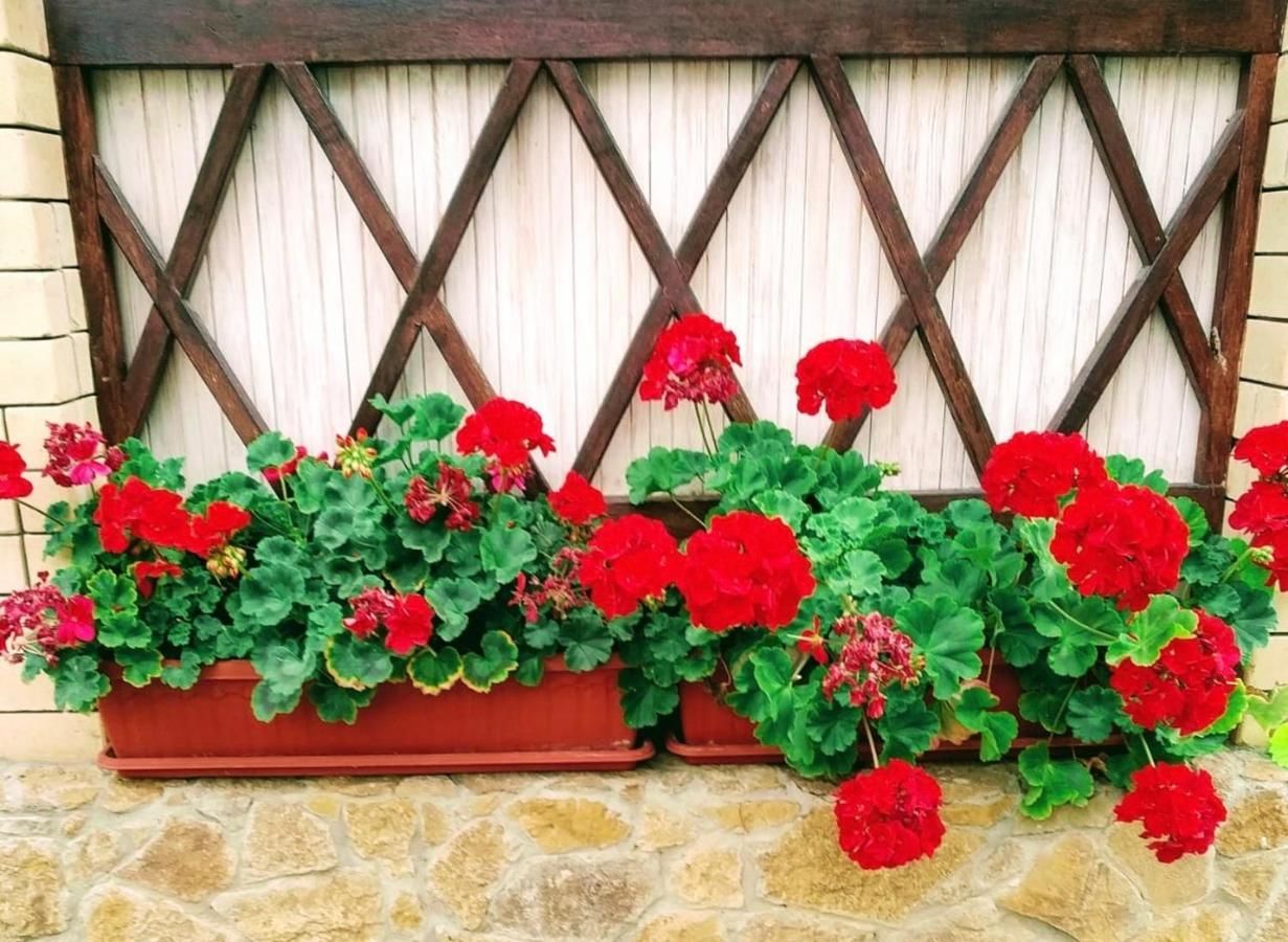 Гостиница Guest house Krupskoy 1 Кисловодск