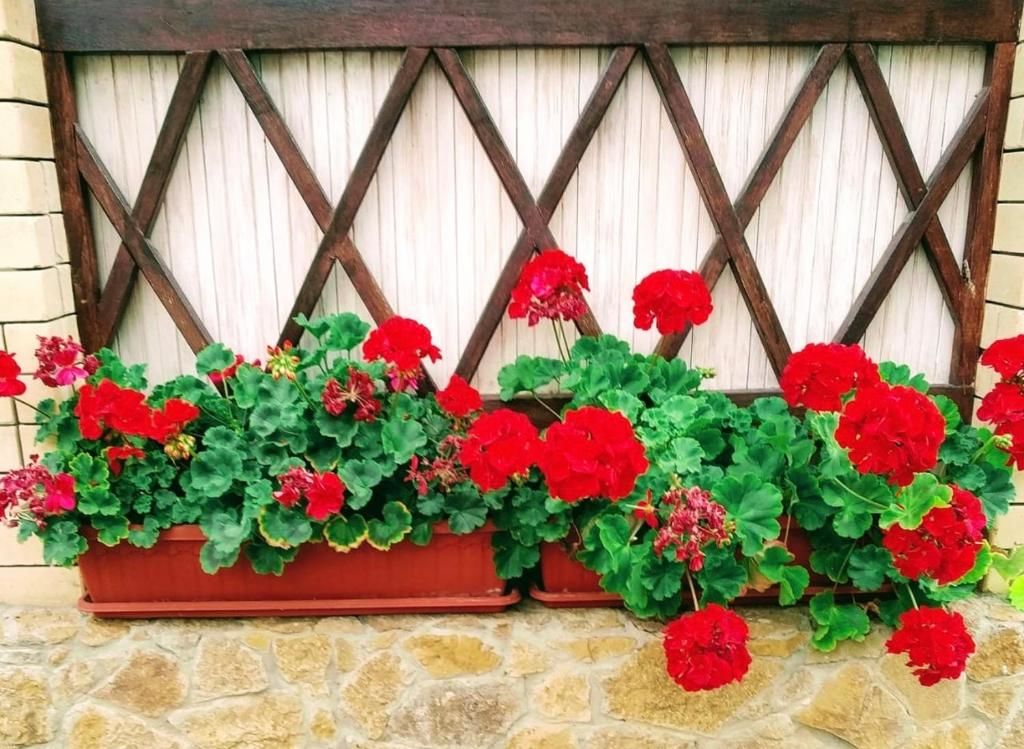 Гостиница Guest house Krupskoy 1 Кисловодск-69