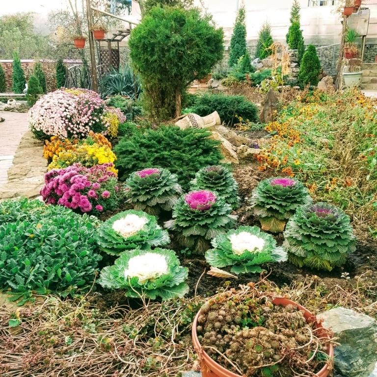 Гостиница Guest house Krupskoy 1 Кисловодск-70