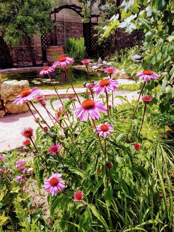 Гостиница Guest house Krupskoy 1 Кисловодск-73