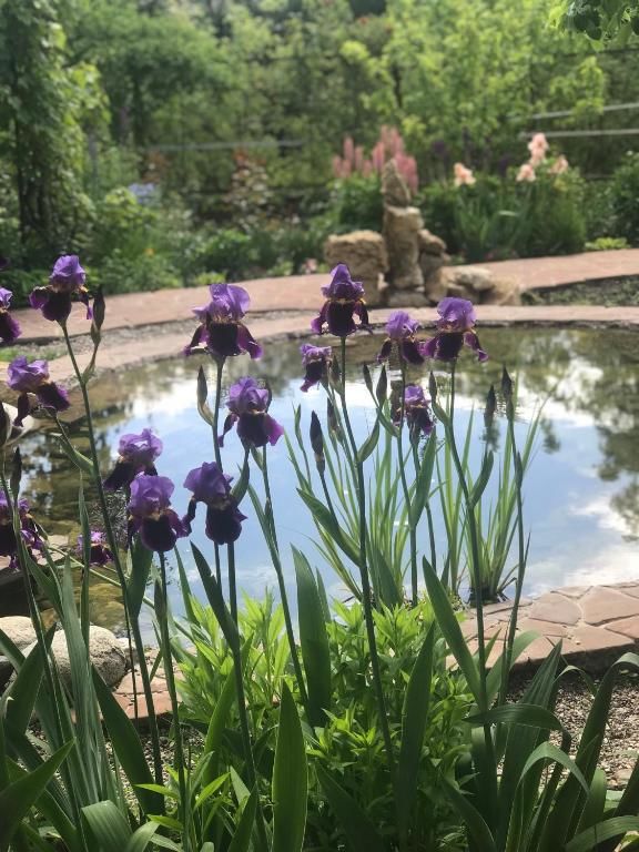 Гостиница Guest house Krupskoy 1 Кисловодск-74