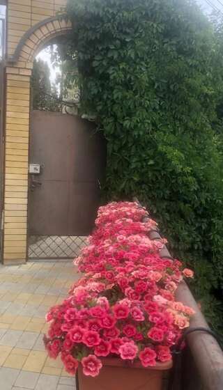 Гостиница Guest house Krupskoy 1 Кисловодск Апартаменты с видом на сад-13