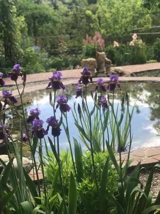 Гостиница Guest house Krupskoy 1 Кисловодск Стандартный трехместный номер-студио-44