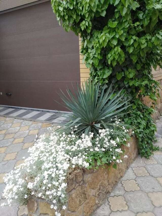Гостиница Guest house Krupskoy 1 Кисловодск-22